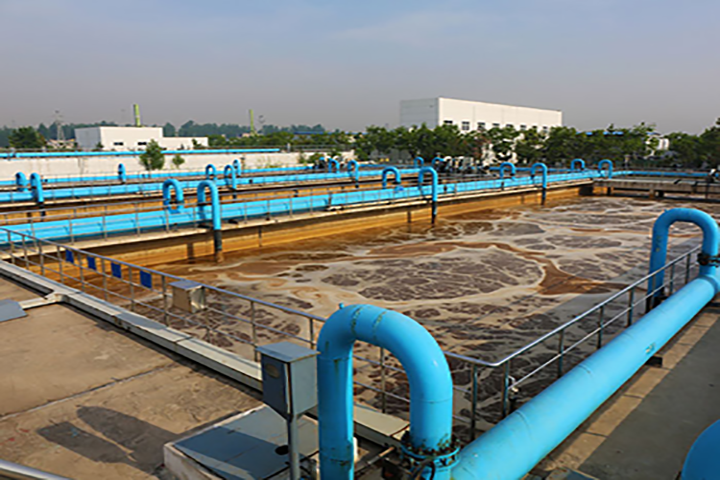 stp plant