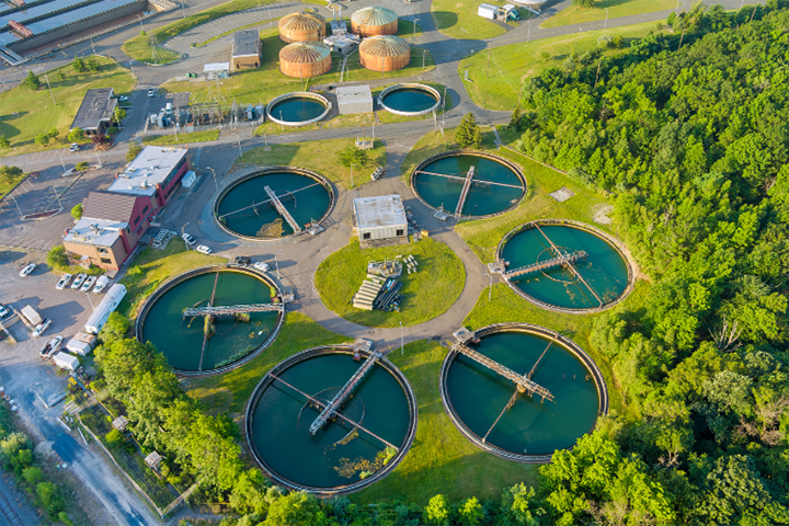 stp plant